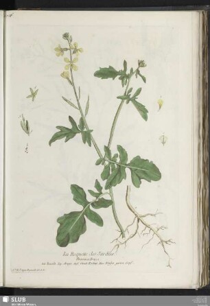 La Roquette des Jardins