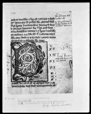 Psalterium aus dem Augsburger Dominikanerkloster — Initiale D, Folio 32recto