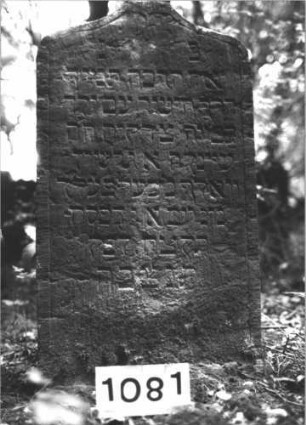 Grabstein 1081 (Index: 99899724) Material: Sandstein Zustand: angewittert Maße HxBxT: 104x58x8 cm Beschreibung: Stele mit Schulterbogenabschluss, oben hängende Blüte Symbolik: Blüte: Grabstein 1081