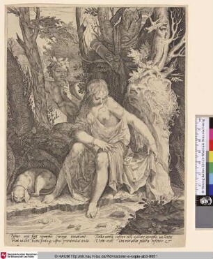 [Die Nymphe im Bade vom Satyr belauscht]