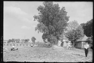 Wermsdorf. Horstsee