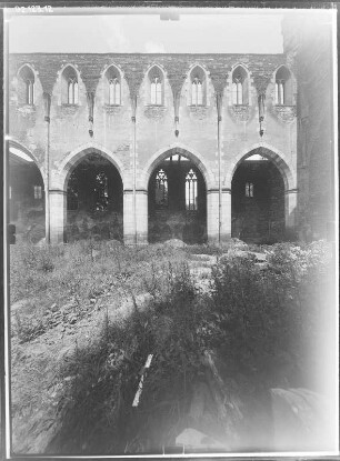 Erfurt. Ruine der Barfüßerkirche. Inneres