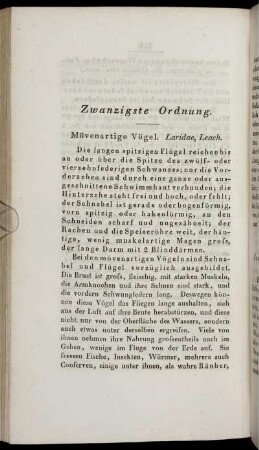 Zwanzigste Ordnung. Mövenartige Vögel. Laridae, Leach.