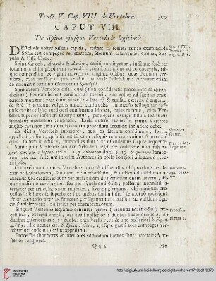 Caput VIII: De Spina ejusque Vertebris legitimis