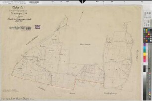 Sieveringen (Ense), Zusammenlegung Sieveringen, Bl. 1 Urkarte I Flur 4,1