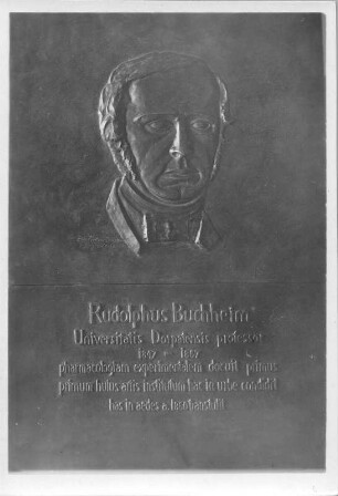 Porträtrelief für Rudolph Buchheim : Rudolphus Buchheim (Porträtrelief für Rudolph Buchheim). Bronze (1932; E. Richter). Dorpat, Universitätsgebäude