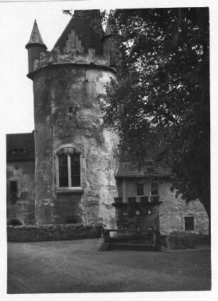 Liebstadt. Schloss Kuckuckstein (wohl 1251/1300). Bergfried. Bergseitige Ansicht