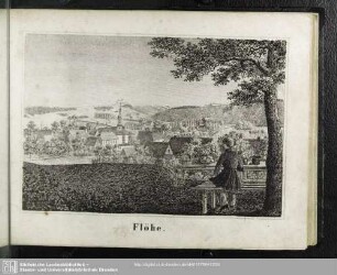 Flöhe