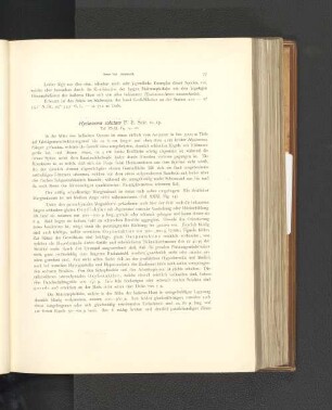 Hyalonema solutum.