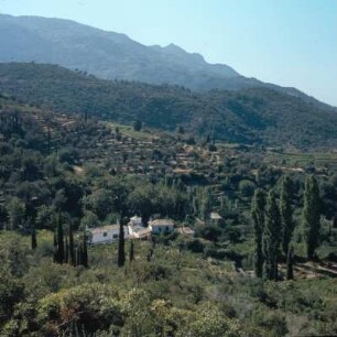 Samos. 476 km2, 41000 Einwohner. "Toskanische" Landschaft auf der Karvúni-Nordseite