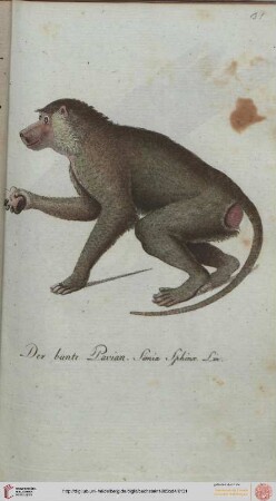 Des vierten Hundert IV. oder XXXIV. Heft (Tafeln 31-40)