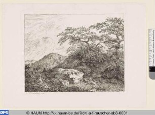 Landschaft mit einem Viehhirten