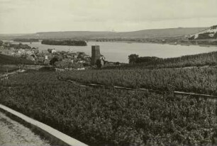 Rüdesheim vom Aufstieg zum Niederwald-Denkmal gesehen