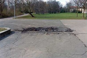 Am Schulzentrum 1: Kreisgymnasium Bargteheide: Schulgelände: Schäden an Asphalt