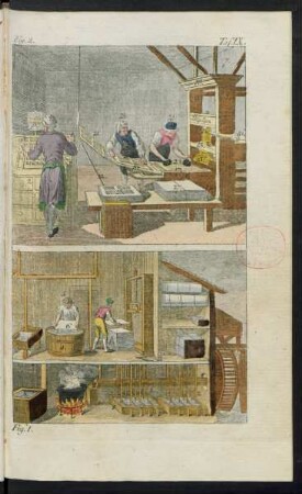 Taf. IX. Fig. 1. - Fig. 2.