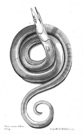 Tab G4