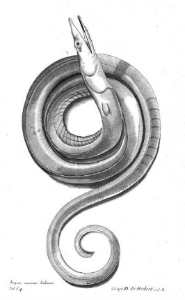 Tab G4