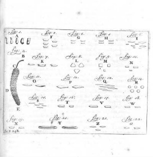 248