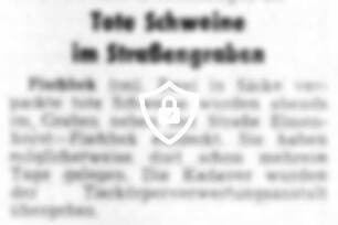 Tote Schweine im Straßengraben