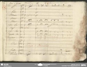 No. 4 Coro e Cavatina: "Allegri allegri"