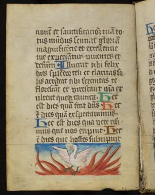 Miniatur (Bas-de-page): Phönix