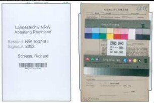 Entnazifizierung Richard Schiess , geb. 05.09.1890 (Rechtsanwalt)