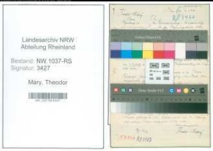 Entnazifizierung Theodor Mary , geb. 27.05.1892 (Sparkassenangestellter)