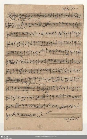 Viola 2da
