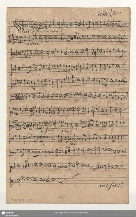 Viola 2da