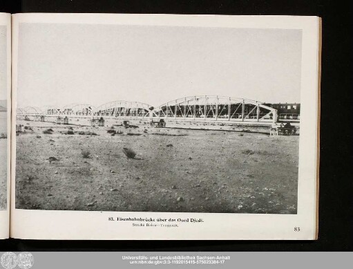 83. Eisenbahnbrücke über das Oued Djedi.