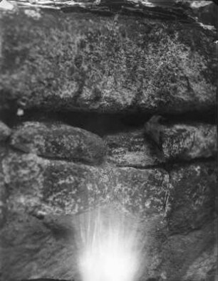 Gartenrotschwanz : Rochlitzer Berg, Gartenrotschwanz (Phoenicurus phoenicurus L.) am Eingang der Nisthöhle.