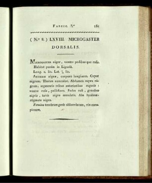 (N.° 8. ) LXVIIL MICROGASTER DORSALIS.