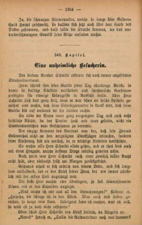 348. Kapitel. Eine unheimliche Besucherin