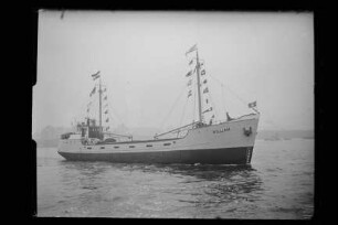 Willi Rickmers (1952), Flint
