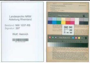 Entnazifizierung Heinrich Wolf , geb. 05.01.1900 (Lehrer)
