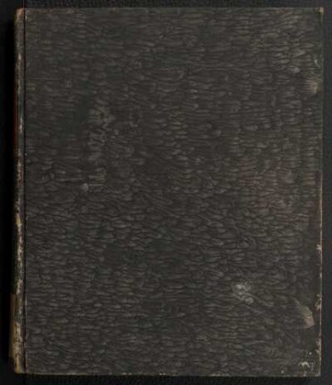 Pandekten I.