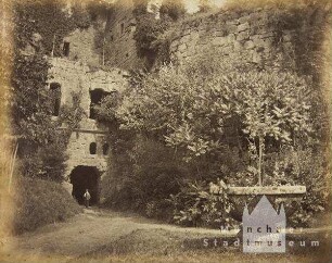 Studien vom Heidelberger Schloss und anderen Ruinen: Teil der Ruine Hardenburg mit Brunnenschale und Gesträuch