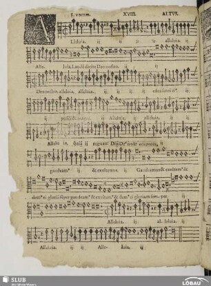 XVIII. Alleluia laudem dicite Deo nostro