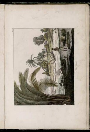 Pl. XVI. Iles Radak