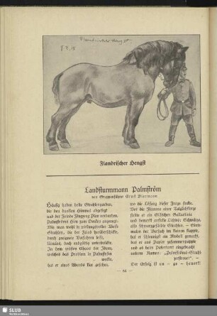 Landsturmmann Palmström