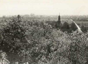 Radebeul, Blick vom Bischofsweg zur Begräbniskapelle