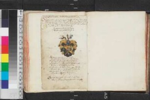 Scheichenwein, Wolfgang; Blatt 78,2