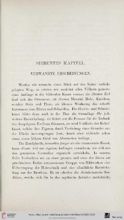 Siebentes Kapitel: Verwandte Erscheinungen