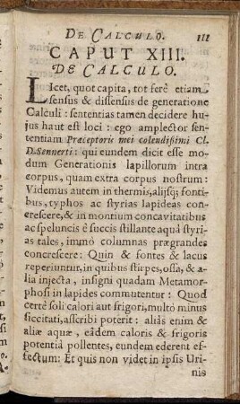 Caput XIII. De Calculo.