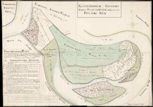 Geometrischer Grundriß uber das Seckenheimer sogenannte Hintere Ried