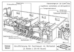 Abruffütterung für Zuchtsauen im Wartestall (2 Abteile à 25-40 Sauen)