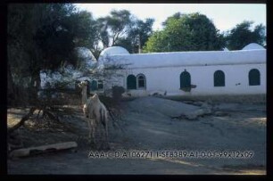 Elephantine