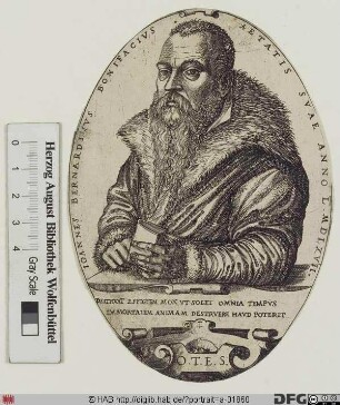 Bildnis Giovanni Bernardino Bonifacio, marchese d'Oria