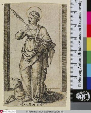 S.AGNES