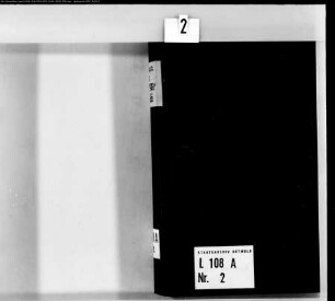 Ratsprotokolle: [Band 2] Ratsprotokolle Stadt Barntrup mit einigen Belegen (ab 1806 vornehmlich Judizialprotokolle)